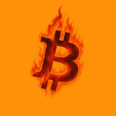 Burncoin Logo